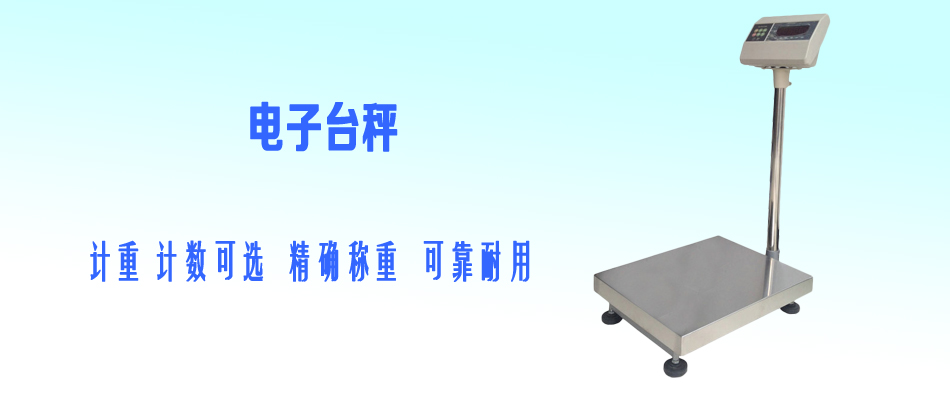 電子汽車衡